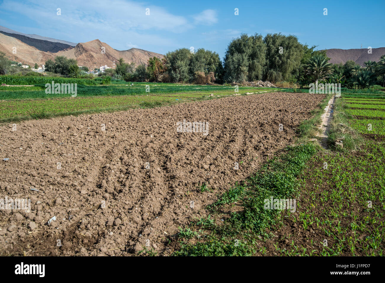 Turned up dirt at date farm in Birkat Al Mouz in Oman Stock Photo Alamy