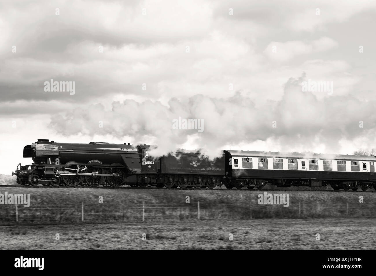 The Flying Scotsman steaming along the Bluebell railway line, Easter 2017 Stock Photo