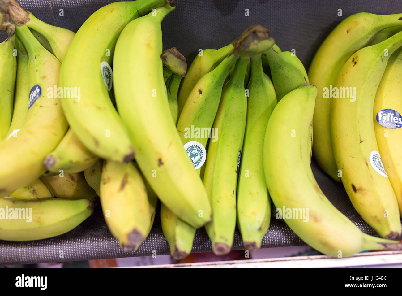 Fyffes bananas hires stock photography and images Alamy