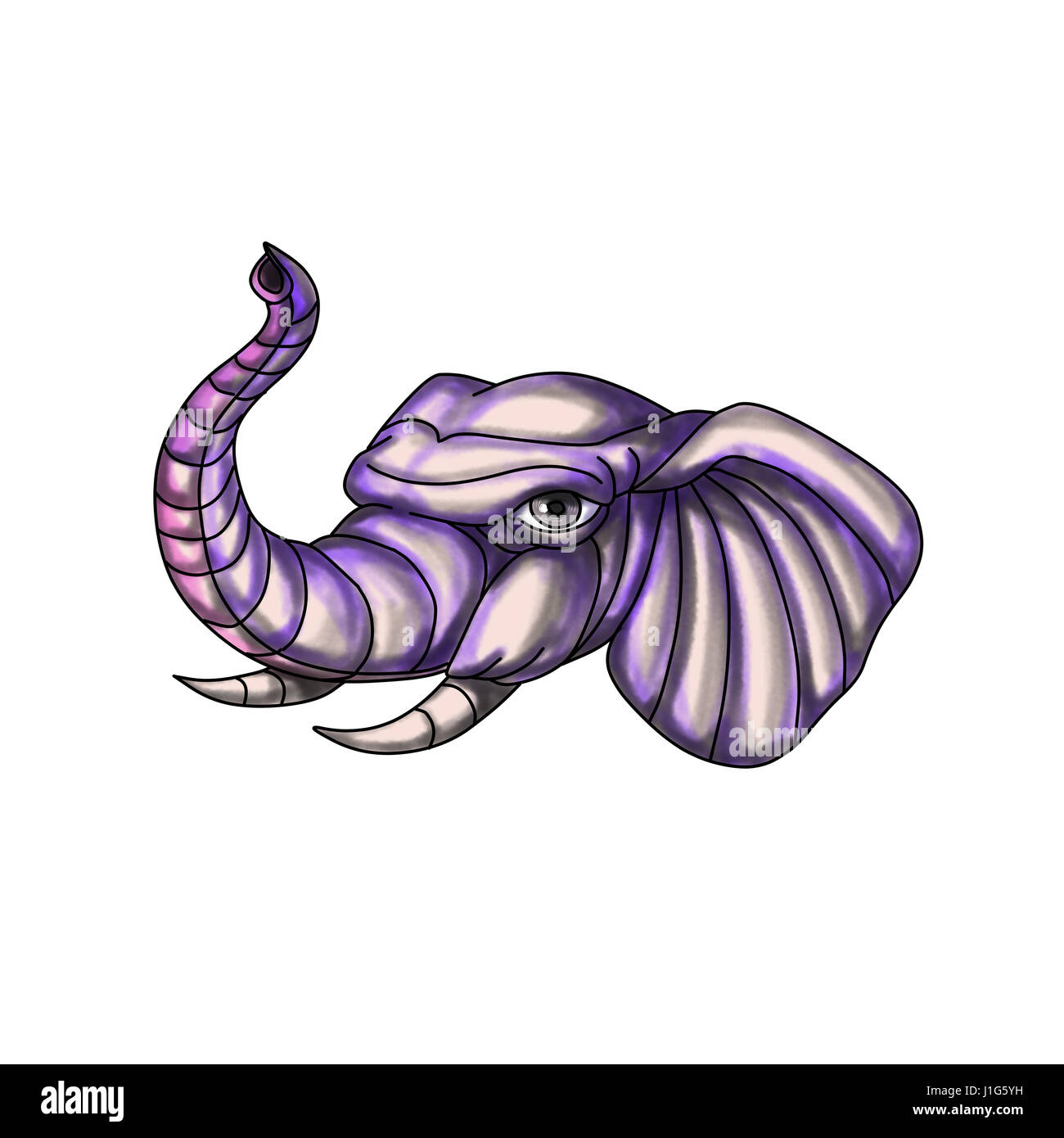 Tattoo style illustration of an elephant head with trunk raised up set on isolated white background. Stock Photo