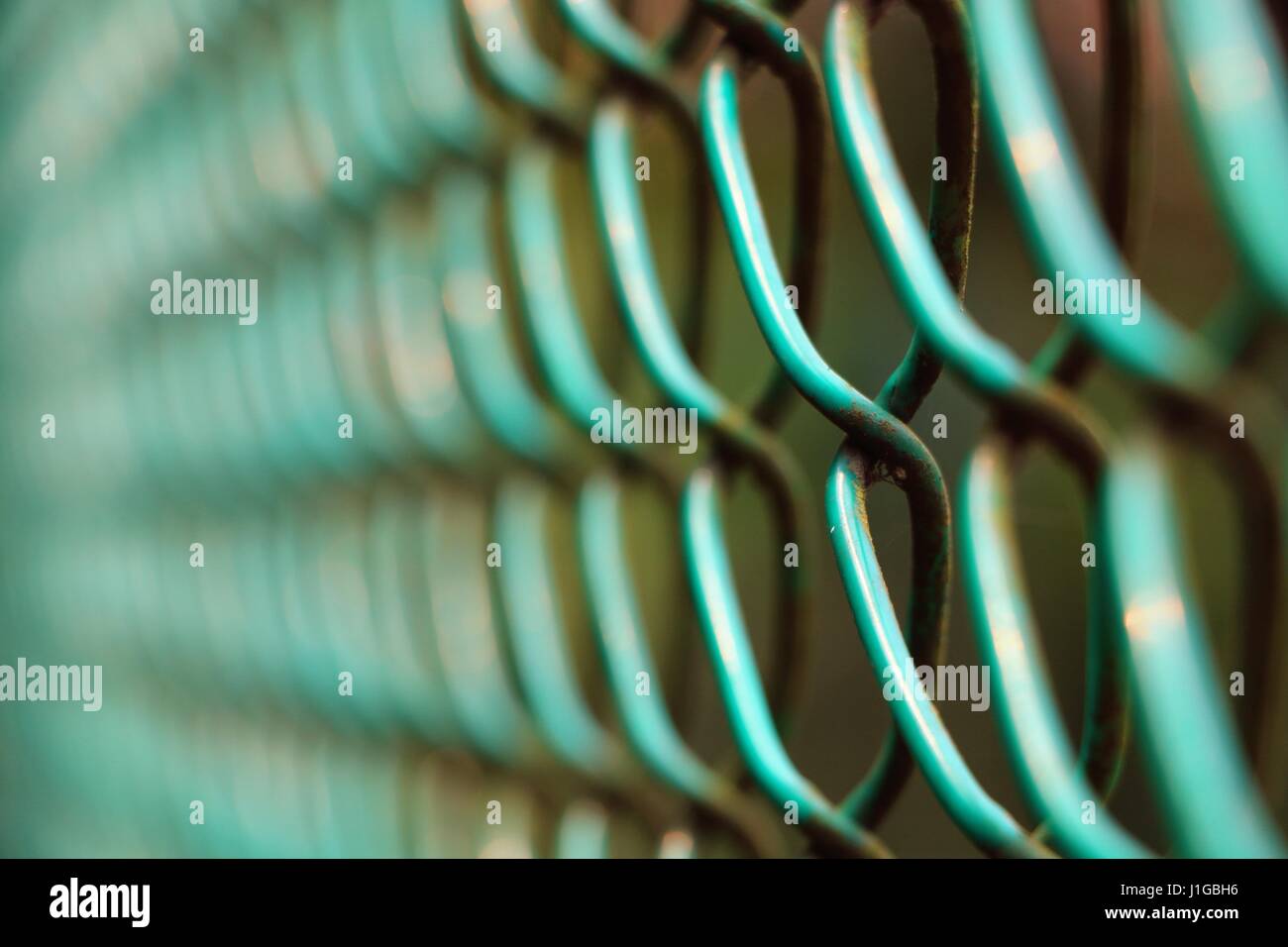 Green wired fence in close up Stock Photo