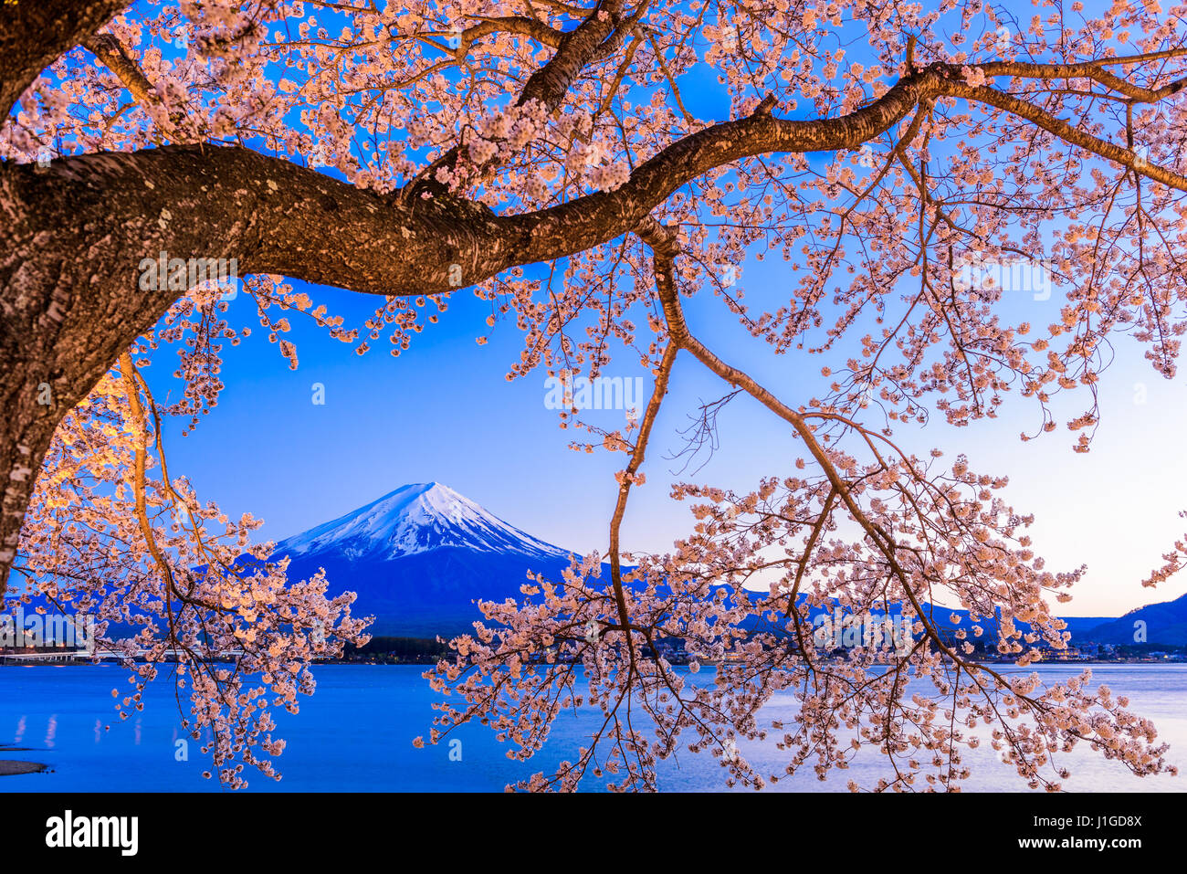 Kawaguchi Lake, Japan at Mt. Fuji in the evening during the spring. Stock Photo