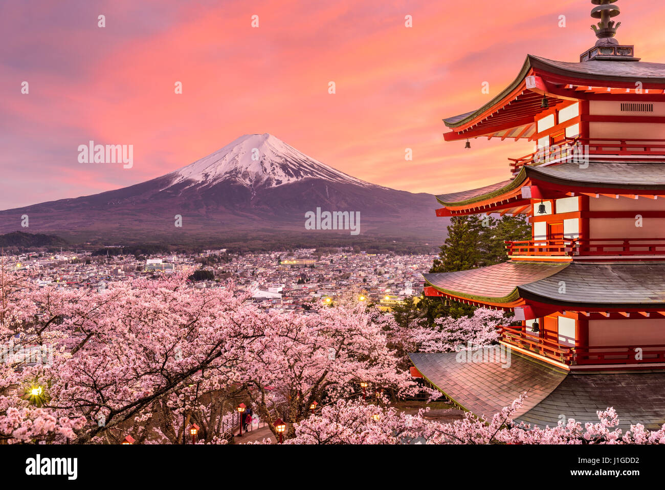 Fujiyoshida, Japan at Chureito Pagoda and Mt. Fuji in the spring with cherry blossoms. Stock Photo