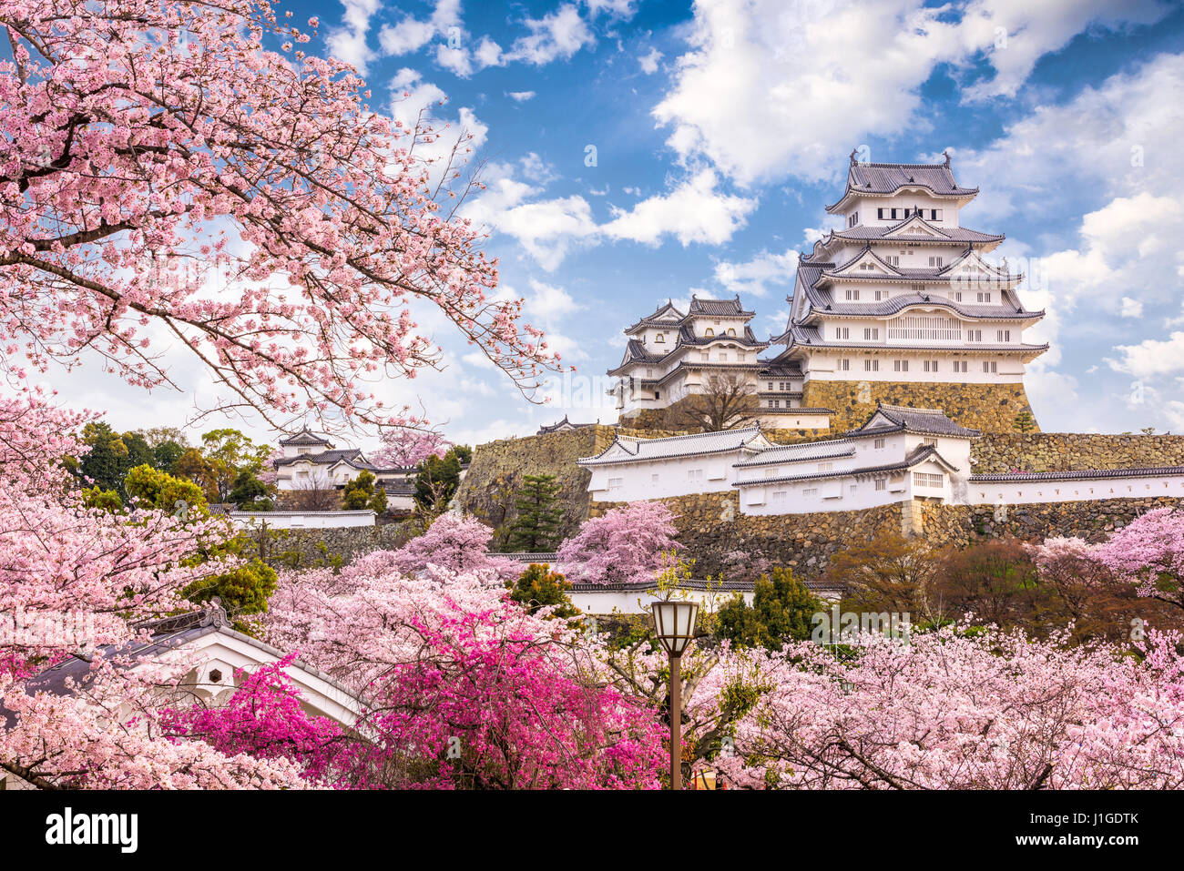 Himeji, Japan at Himeji Castle in spring season. Stock Photo