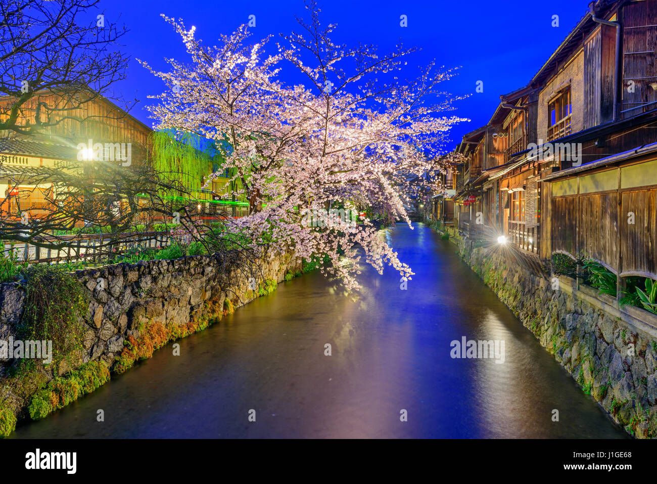 Gion Shirakawa, Kyoto, Japan in spring. Stock Photo
