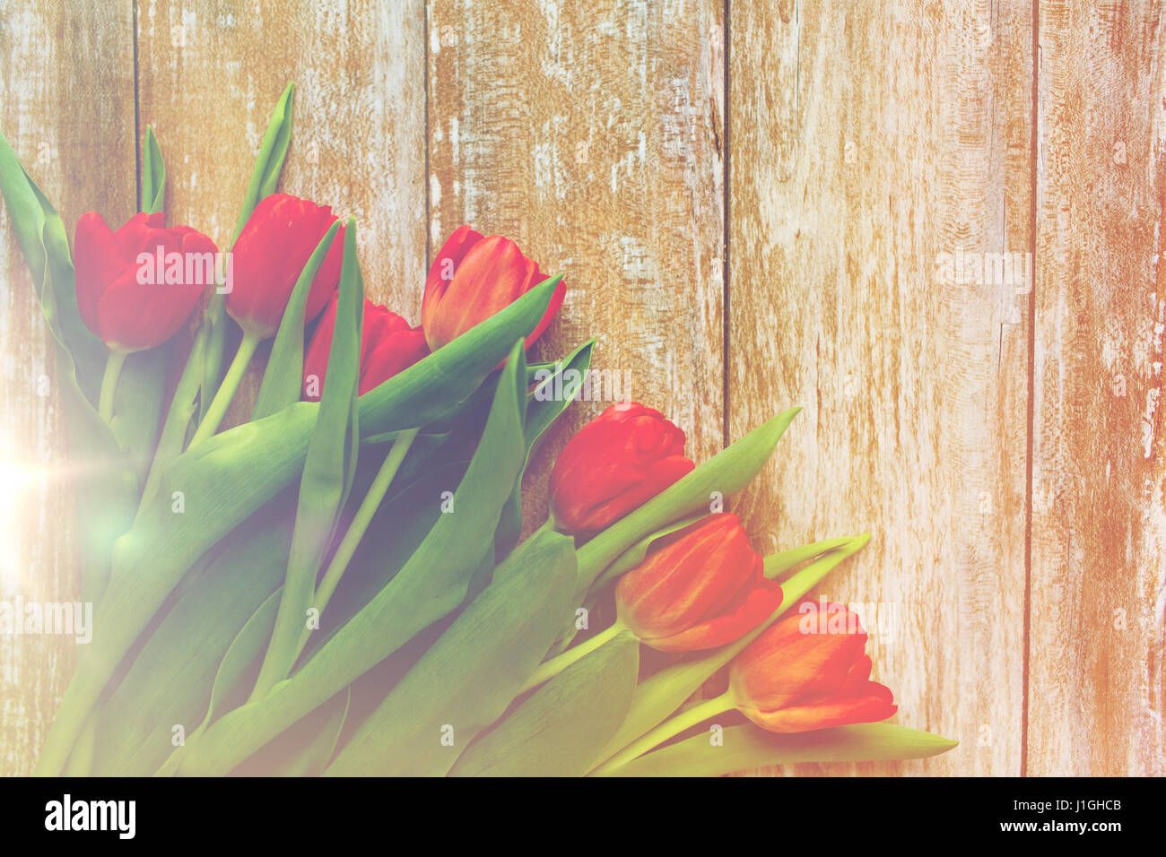close up of red tulips on wooden background Stock Photo