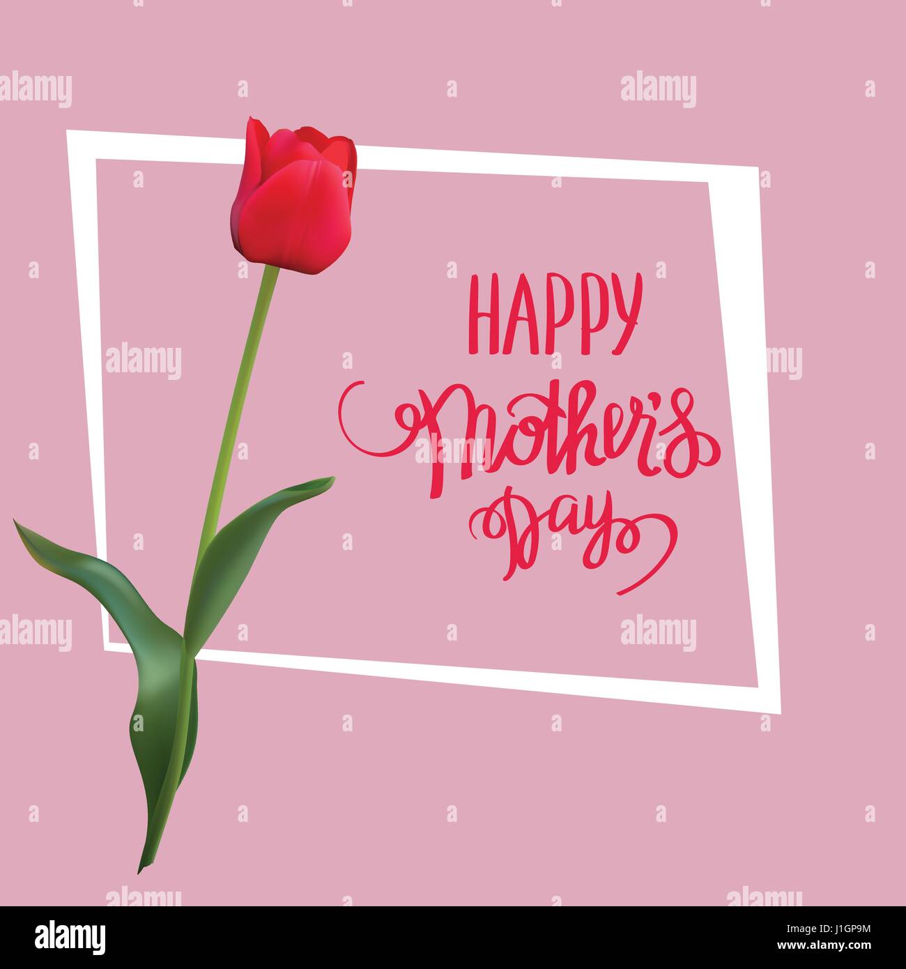 The red tulip with Happy Mother s Day gift card. Stock Vector