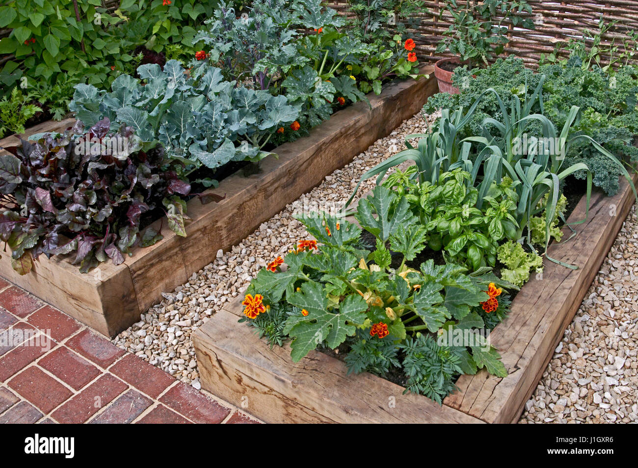 Allotment Vegetable garden with raised beds in an Urban garden Stock Photo