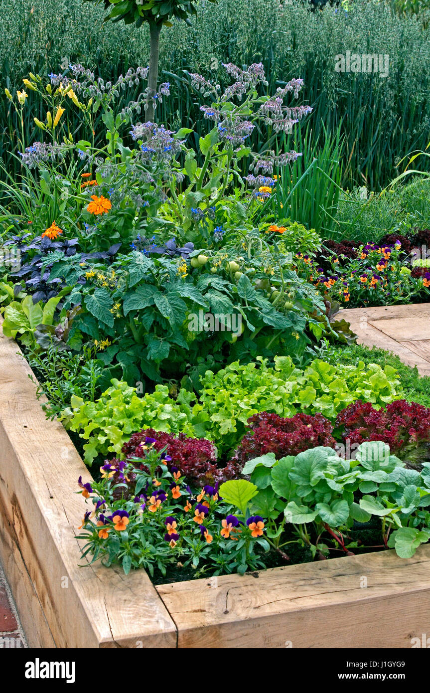 Raised bed in an allotment planted with vegetables Stock Photo
