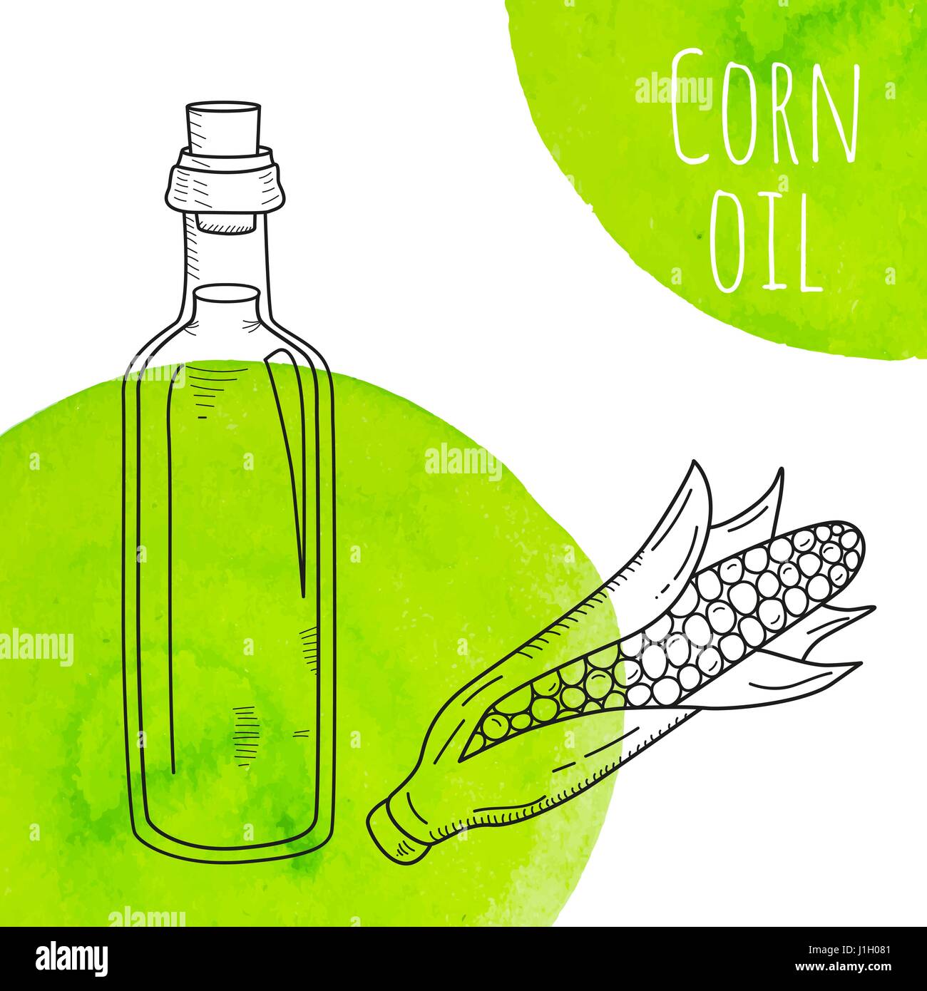 Hand drawn corn oil bottle with green watercolor spots Stock Vector