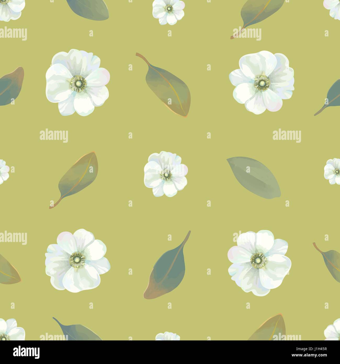 Watercolor floral seamless pattern with white flowers and leaves ...