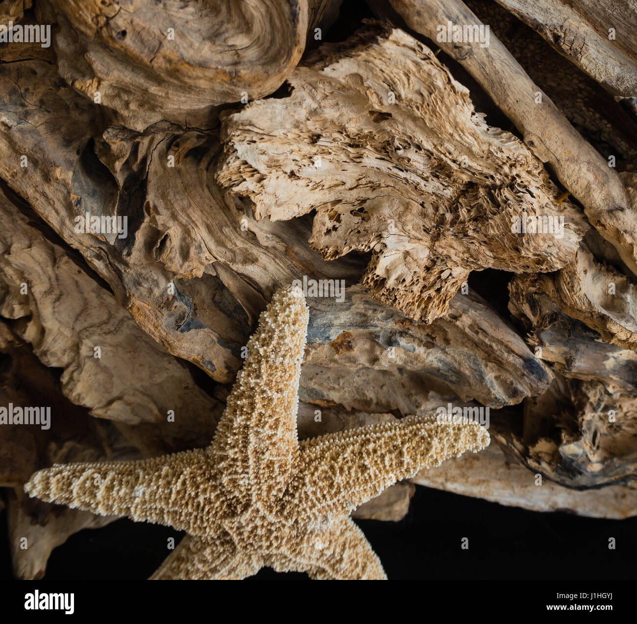 Drift wood plank hires stock photography