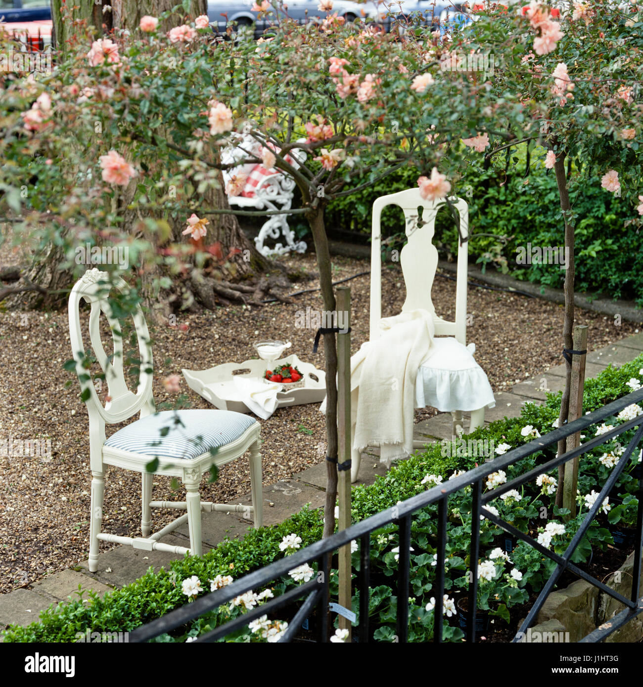 Rose arbour hires stock photography and images Alamy