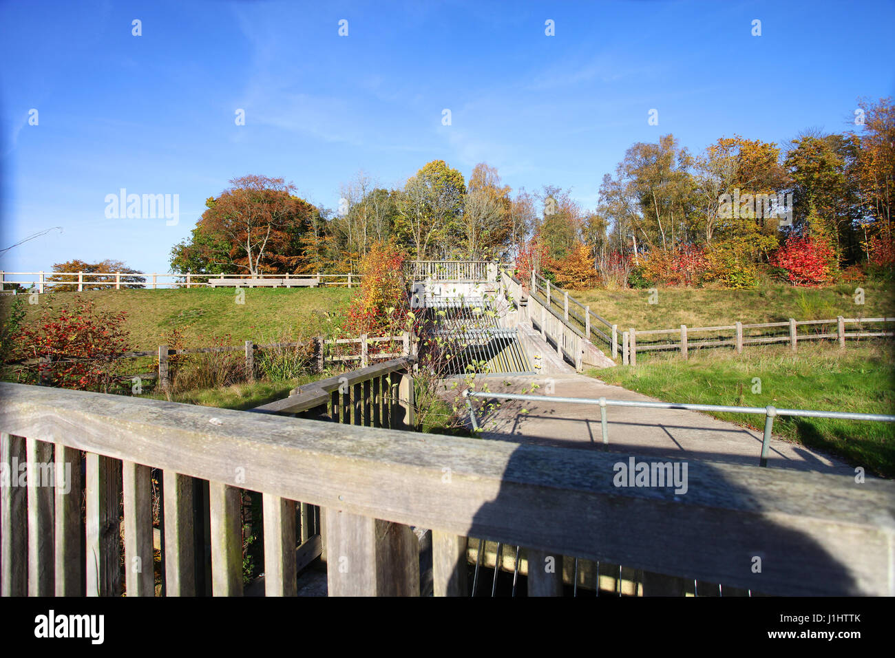 Flood defences and Autumn colours at Tilgate Forest, Park and Lake, nr Crawley, West Sussex Stock Photo