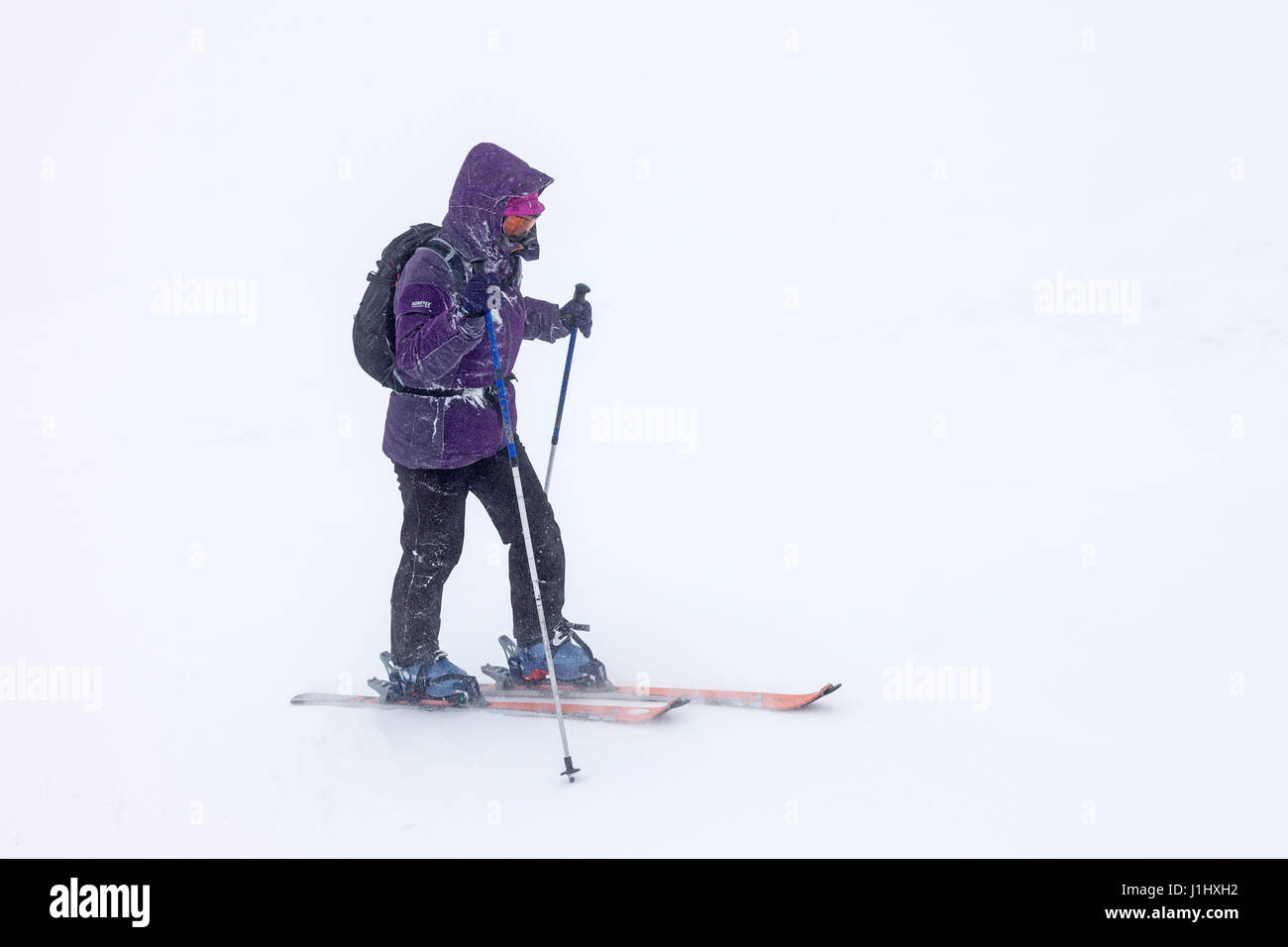 Ski Touring in White Out Conditions in the North Pennines, Cumbria, England UK Stock Photo