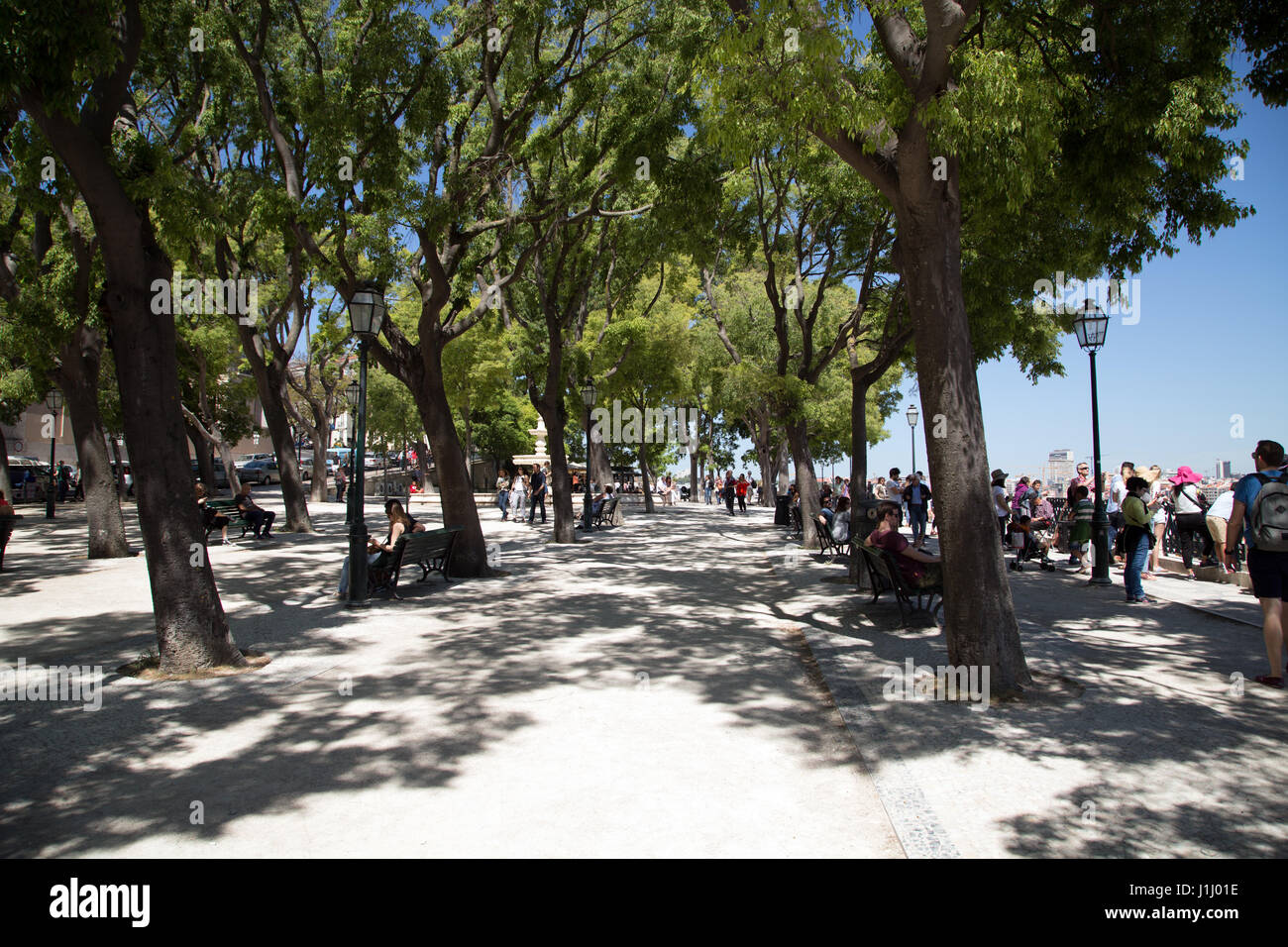 Barrio alto lisbon hi-res stock photography and images - Alamy