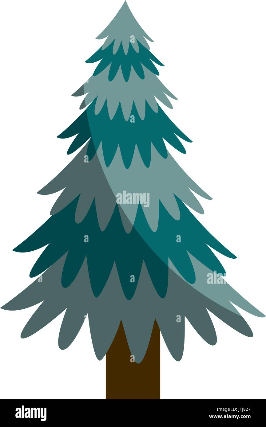 pine tree plant icon Stock Vector Image & Art - Alamy