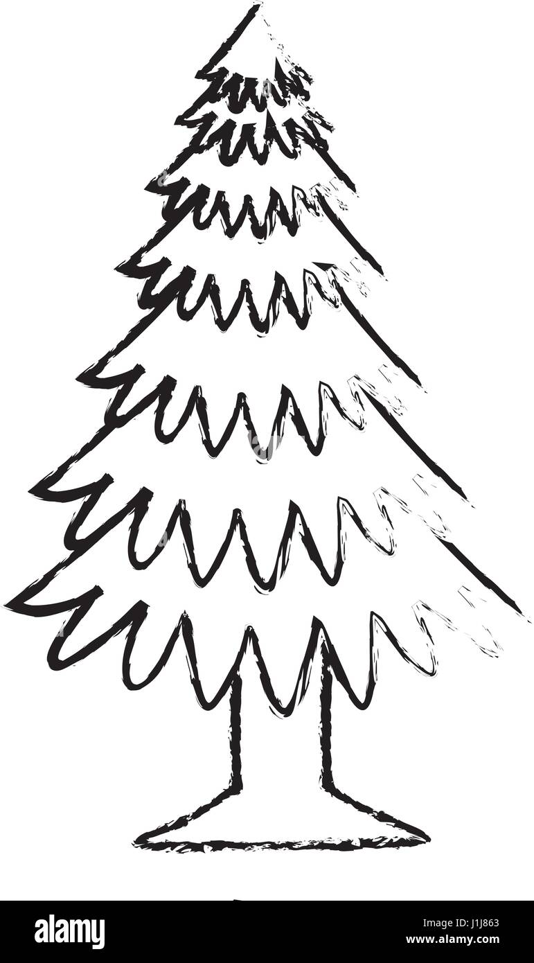 pine tree plant icon Stock Vector Image & Art - Alamy