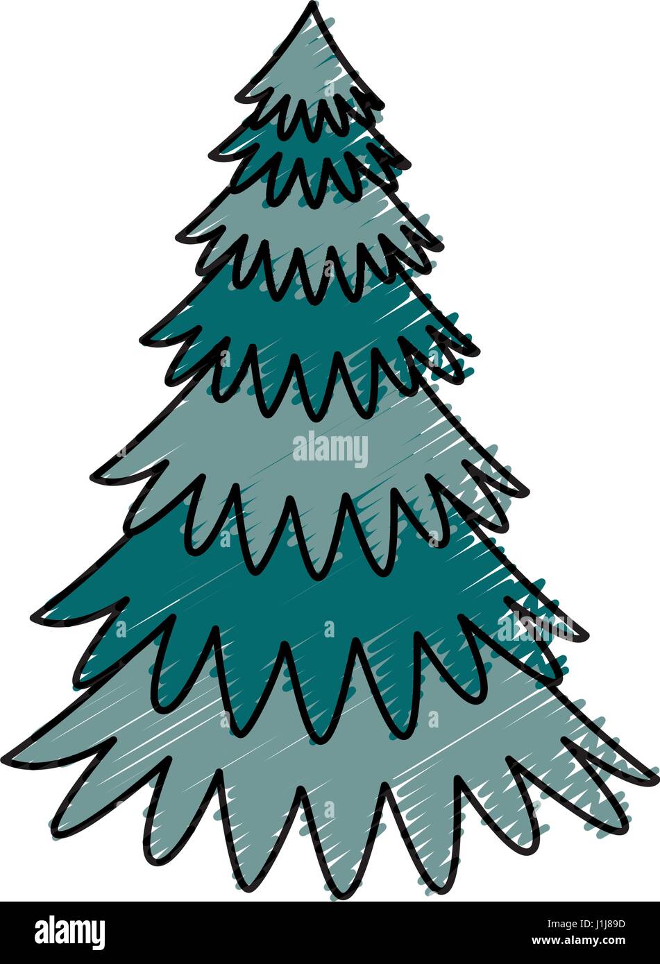 pine tree plant icon Stock Vector Image & Art - Alamy