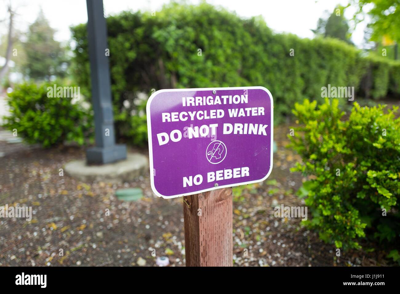 Purple sign for recycled water system, used for irrigation, in the Silicon Valley town of Mountain View, California, April 7, 2017. Stock Photo