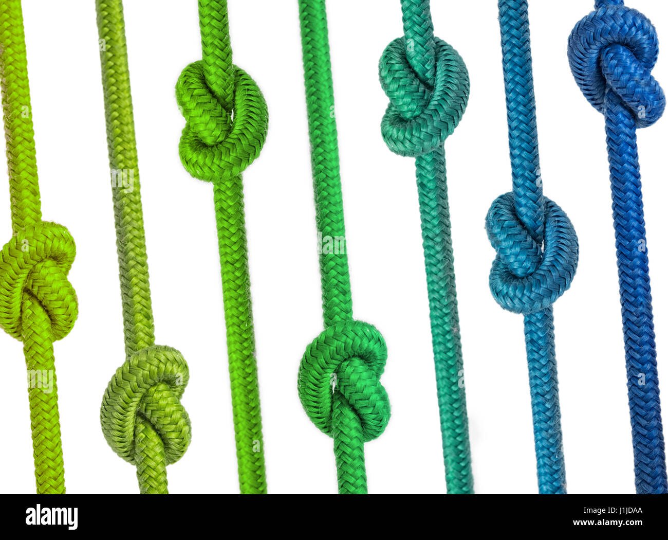 colorful group of ropes with knots in a row Stock Photo