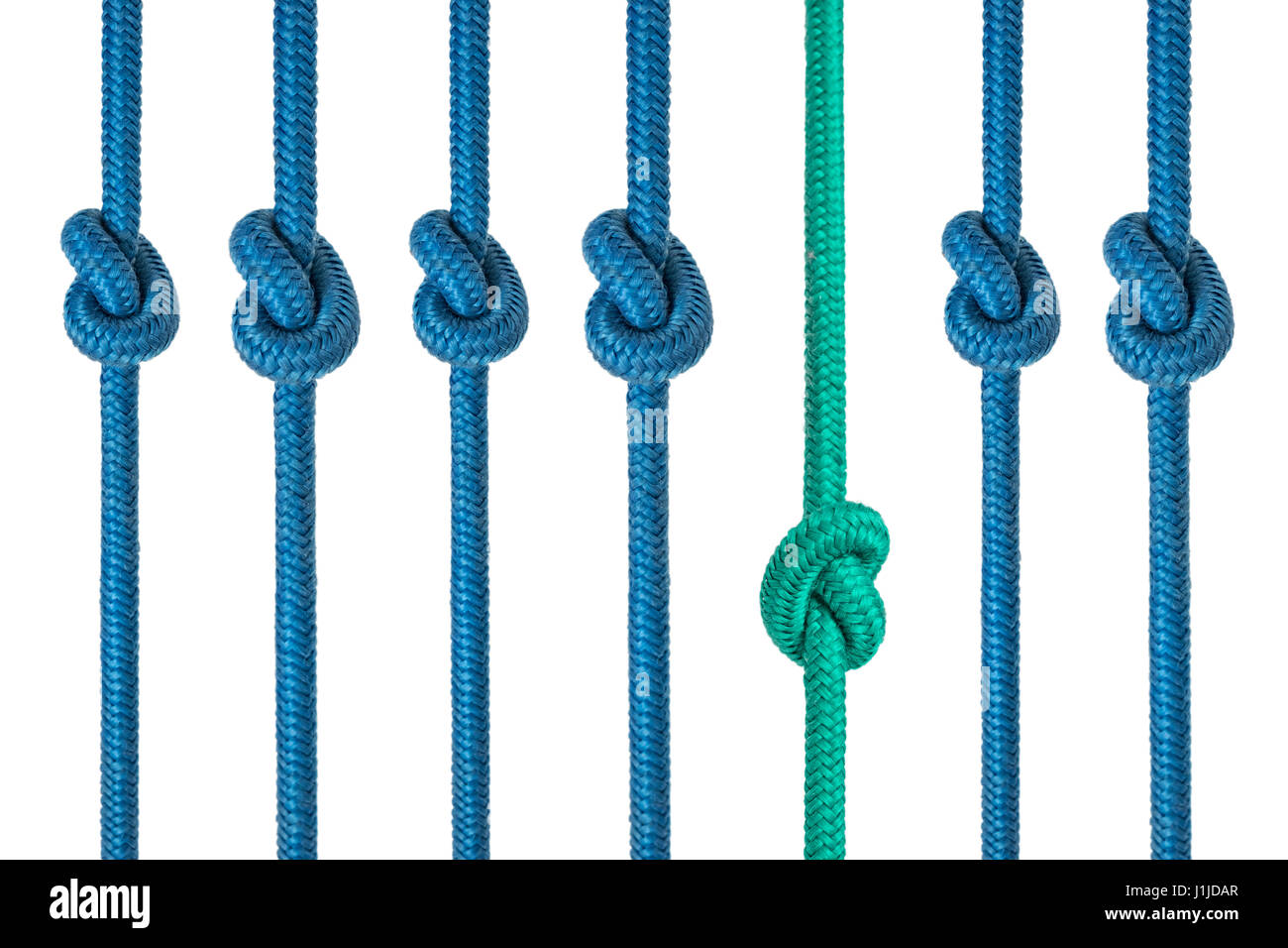 standing out from the crowd concept - knotted ropes Stock Photo
