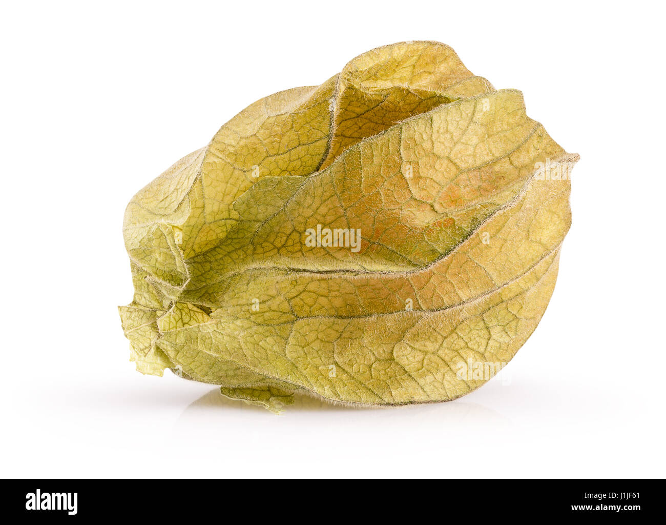 cape gooseberries isolated on a white background. Stock Photo