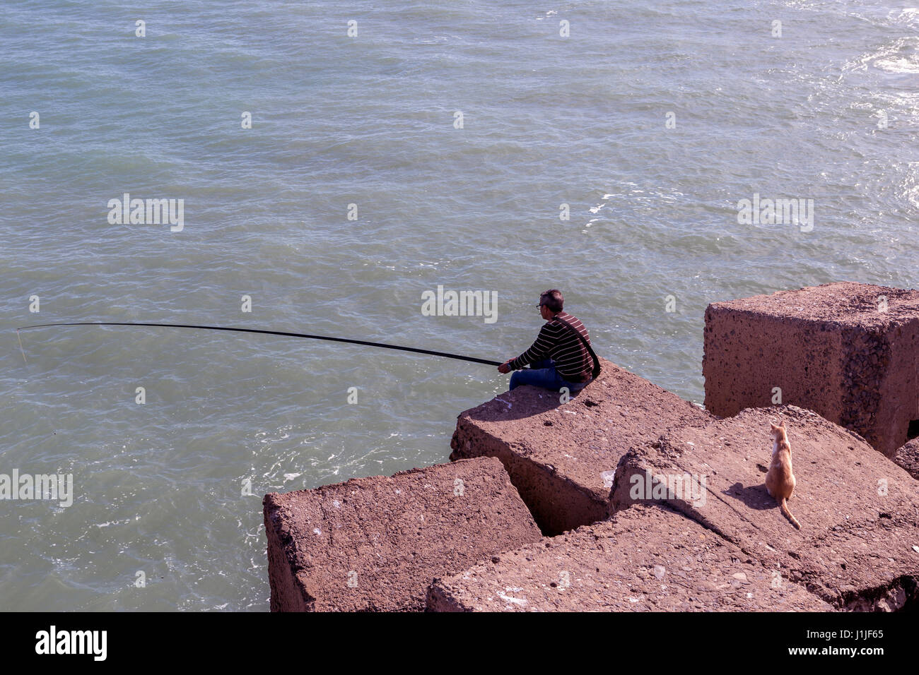 Beach stone fish hi-res stock photography and images - Alamy