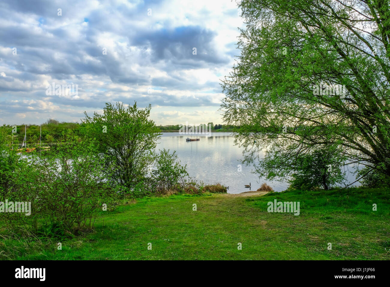 Lake view with sail boats in spring in Essex. Stock Photo