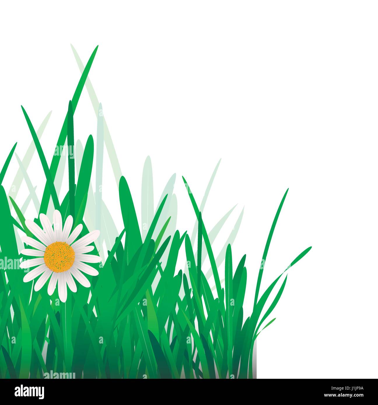 Green Grass Border Stock Vector Image & Art - Alamy