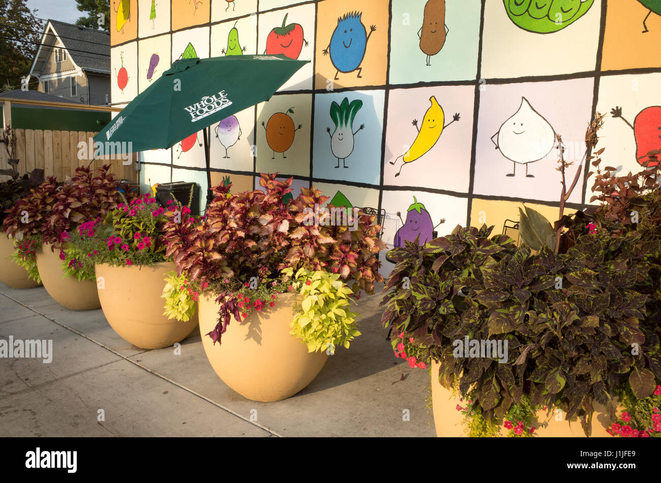 Wall of painted vegetables, potted plants and a Whole Foods umbrella. St Paul Minnesota MN USA Stock Photo