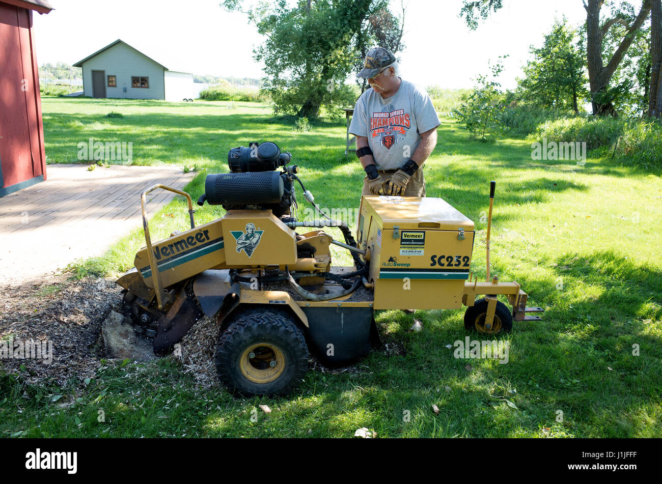 Worker grinding tree stump into wood chips. Clitherall Minnesota MN USA  Stock Photo - Alamy