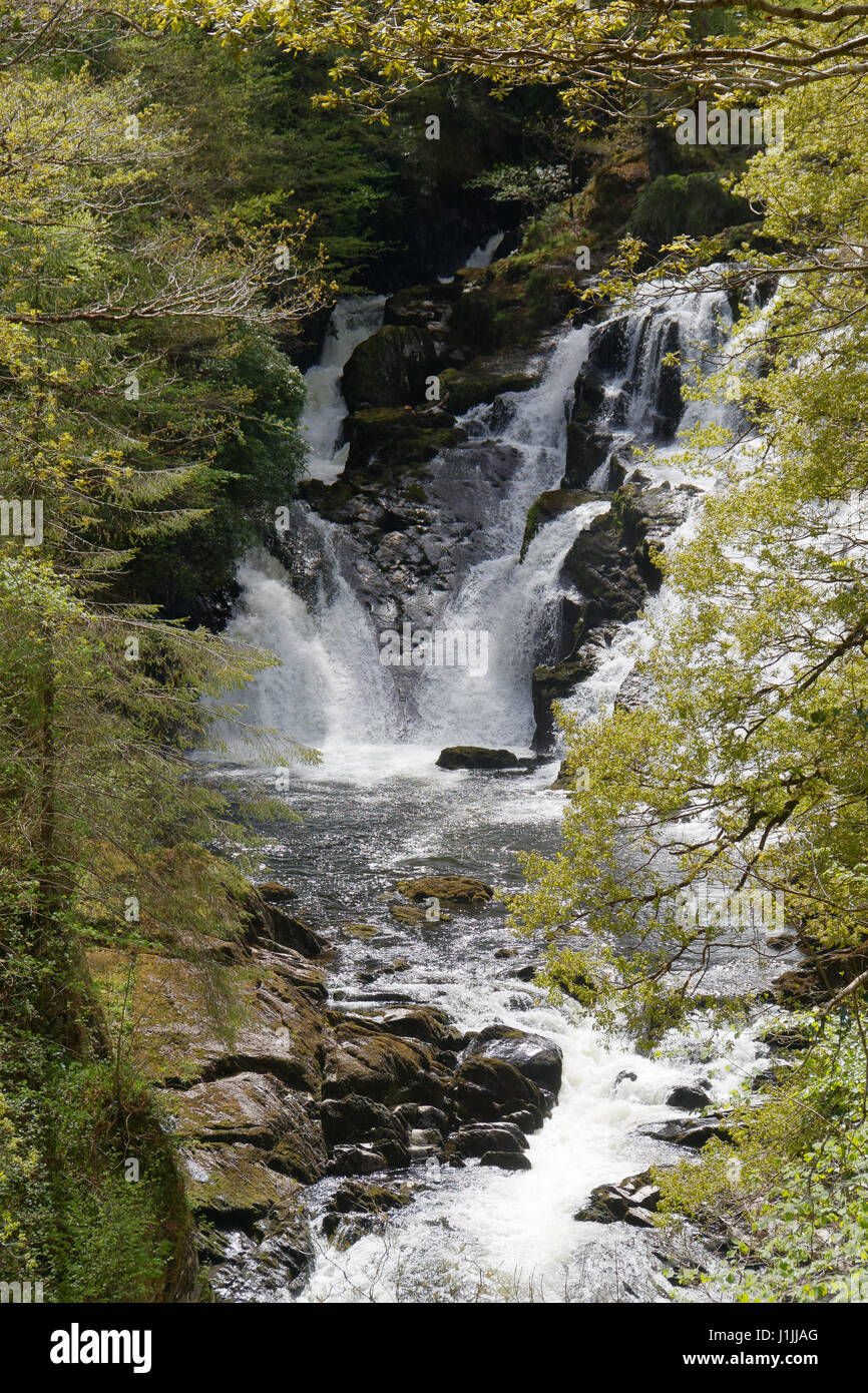 Swallow Falls from the north side of the river Stock Photo