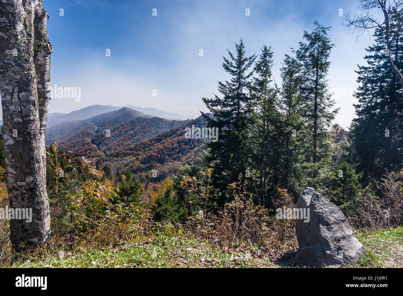 Swain County, Bryson City, North Carolina • United States   Just one day later and the fall colors start peaking Stock Photo