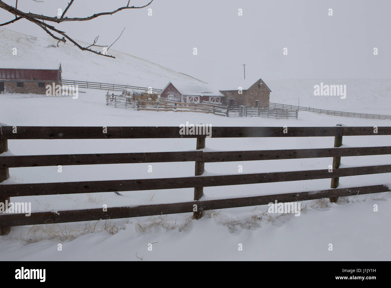 Corral Hay Stack And Old Stone Barn Are Covered With A Thin