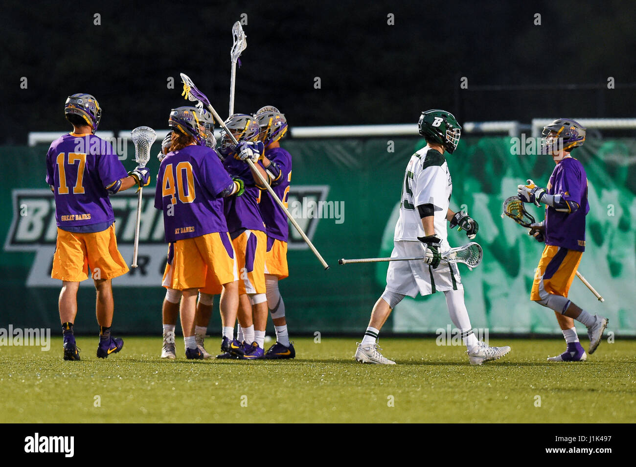 Vestal new york usa 19th hires stock photography and images Alamy