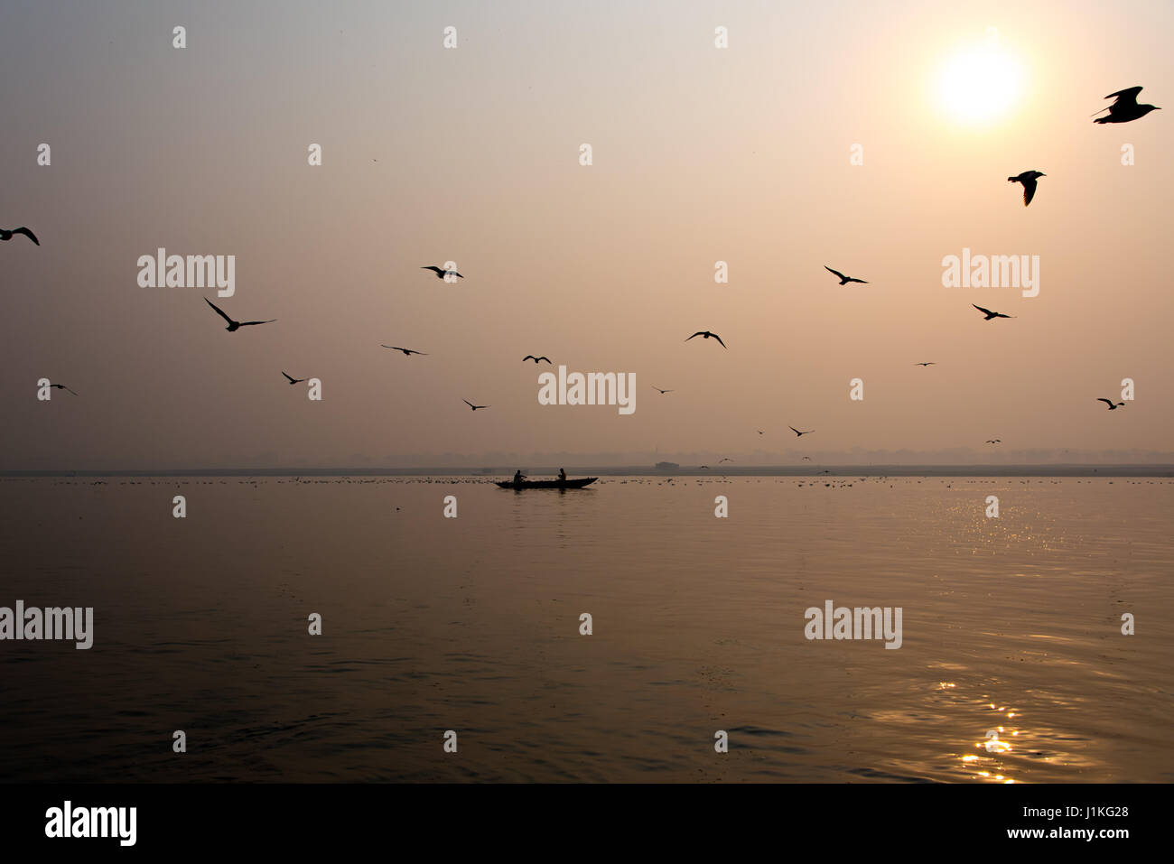 Birds flying over a rowing boat on river Ganges, Varanasi, India Stock Photo