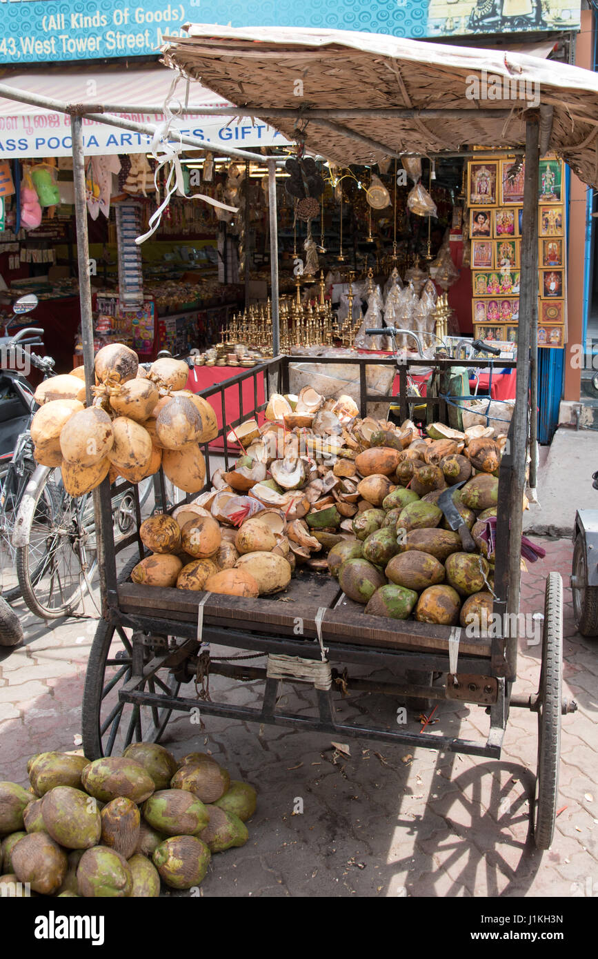 Coconuts on a food cart in Madurai, India Stock Photo