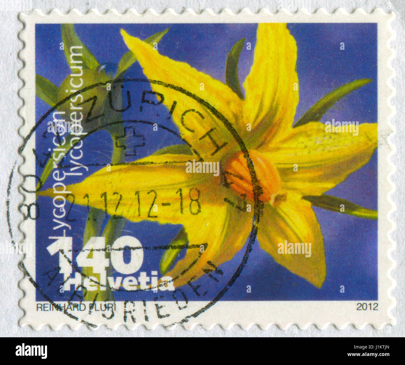 GOMEL, BELARUS, APRIL 21, 2017. Stamp printed in Swizerland shows image of  The tomato, Lycopersicon lycopersicum, was domesticated from a wild specie Stock Photo