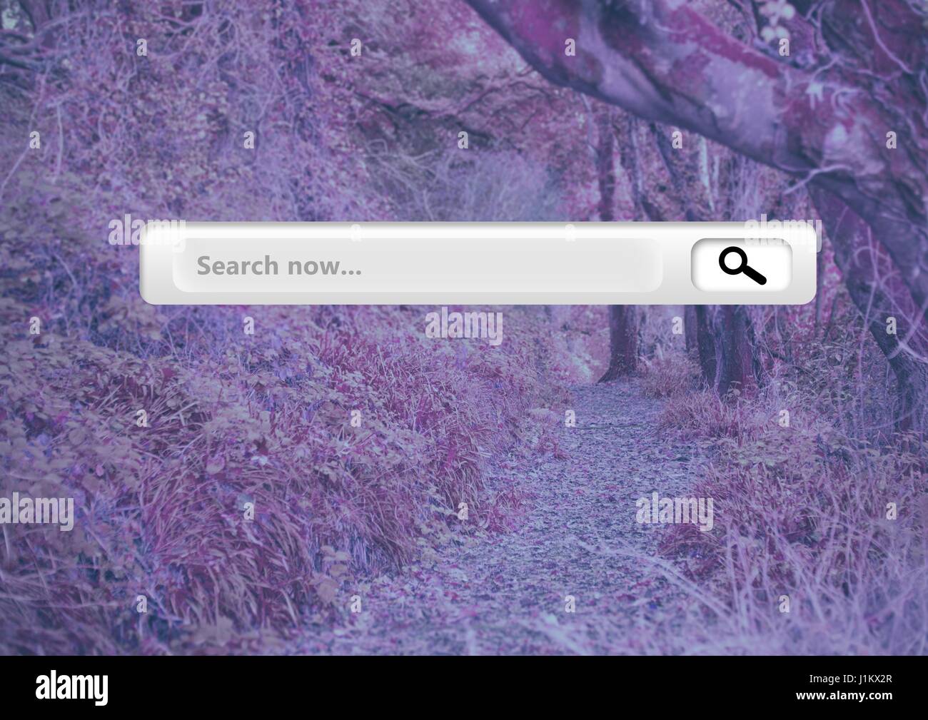 Download 73 Background Pink Forest HD Terbaik