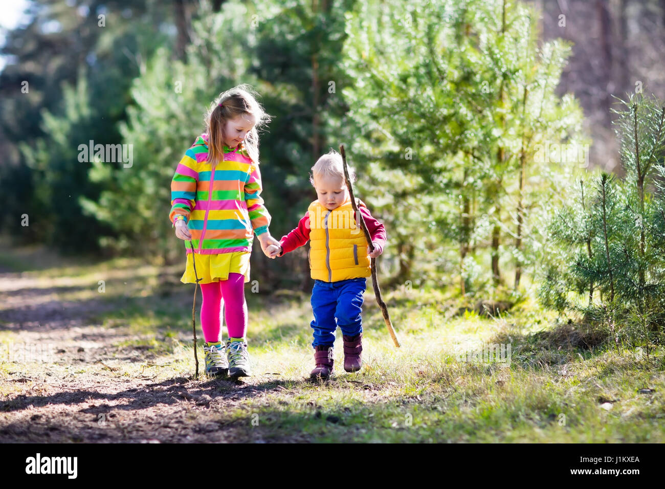 Little boy and girl camping and hiking in sunny summer forest. Kids hike in the Alps mountains. Family with children on autumn trekking trip and camp  Stock Photo