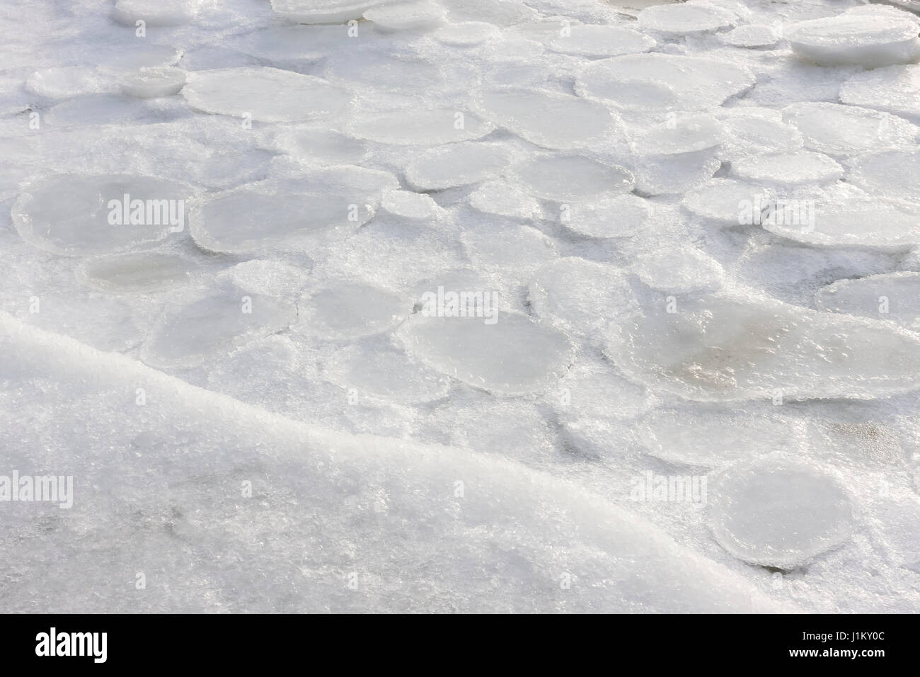 Natural shapes of round white circles formed into sea ice Stock Photo