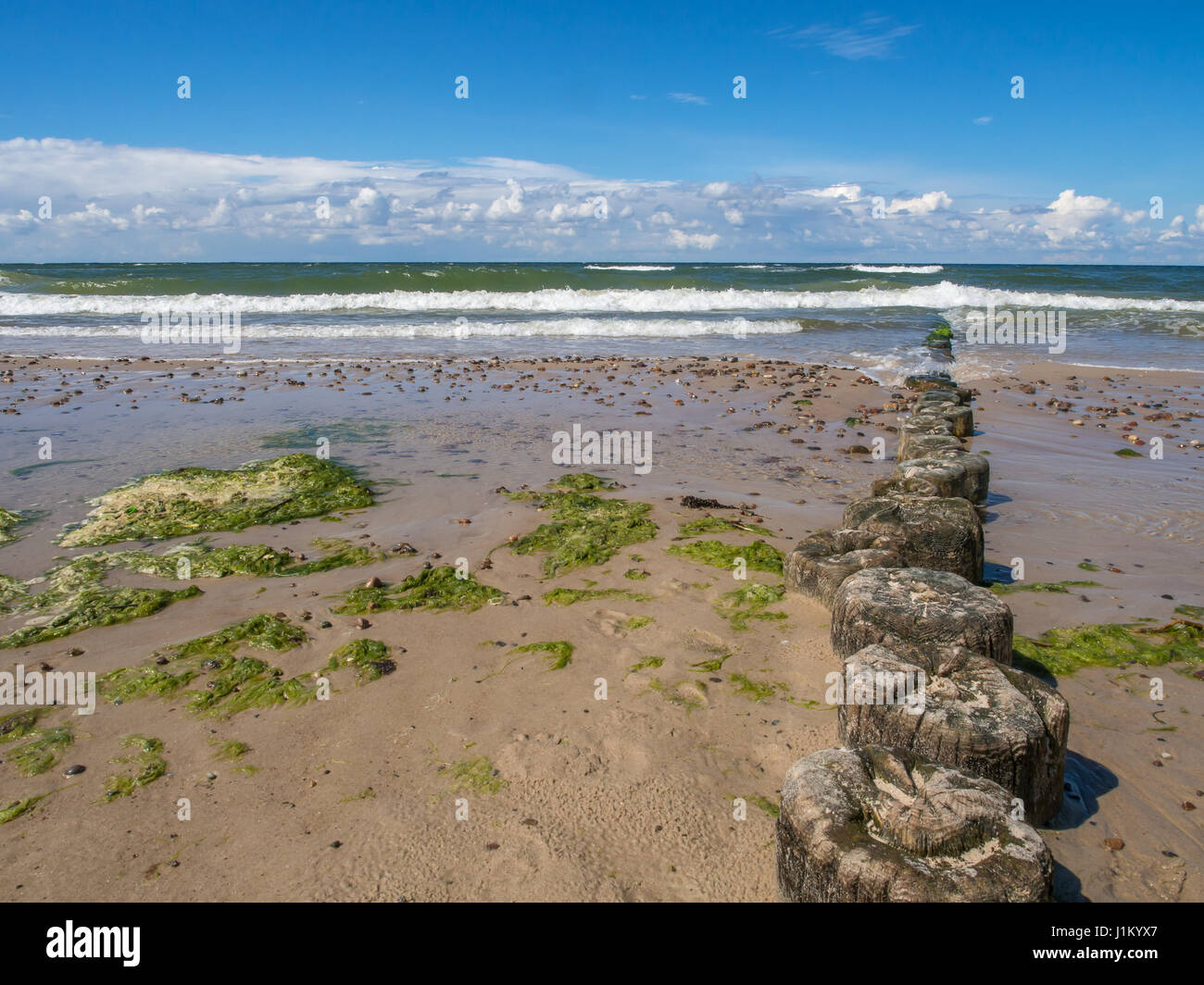 Wooden breakwaters on a shore of the Baltic Sea Stock Photo