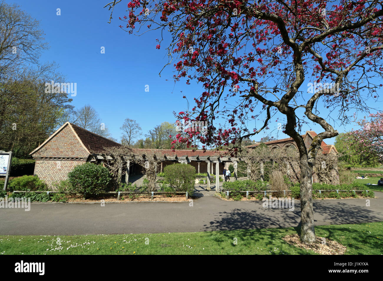 Godalming Surrey England Stock Photo Alamy