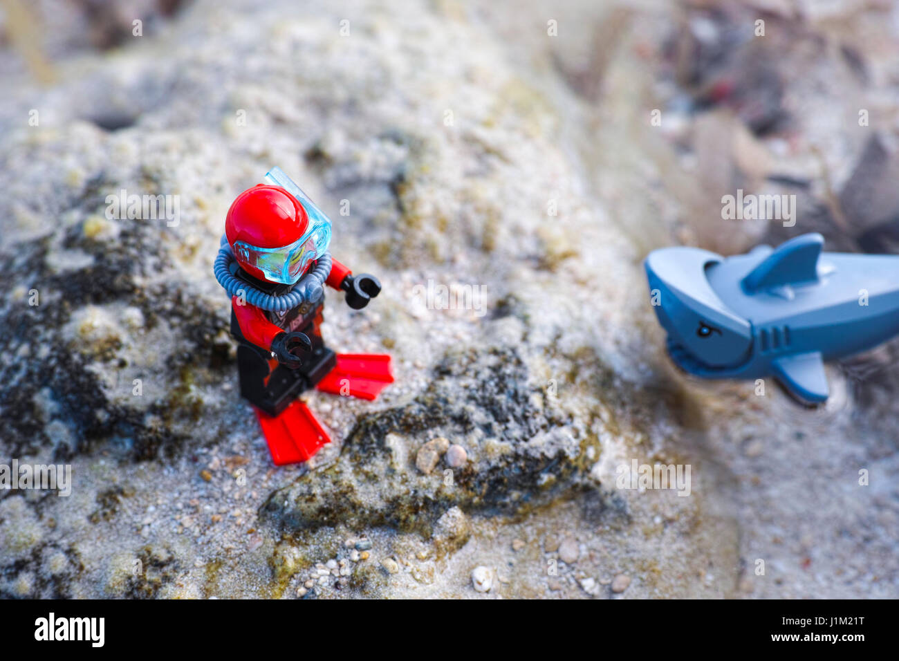 Paphos, Cyprus - October 09, 2016 Lego scuba diver and shark on seafloor. Shallow depth of field. Stock Photo