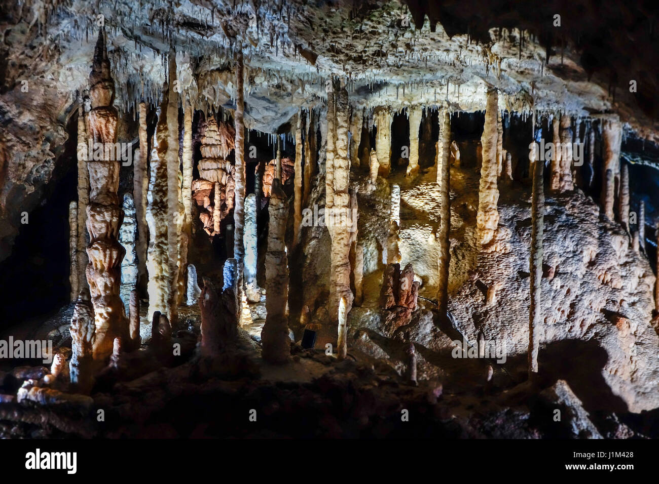 Straw stalactites, stalagmites and columns in limestone cave of the Caves of Han-sur-Lesse / Grottes de Han, Belgian Ardennes, Belgium Stock Photo