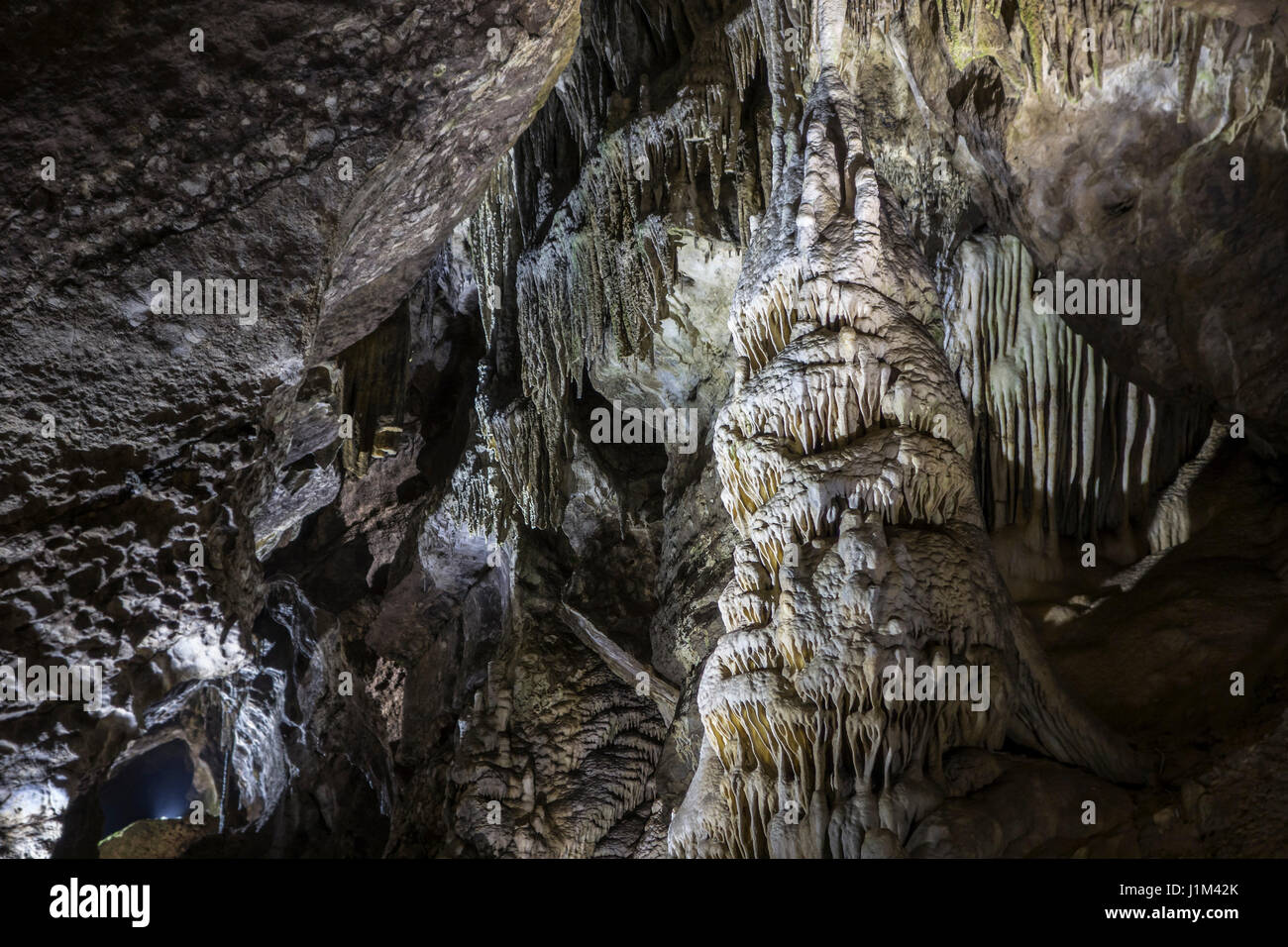 Stalactites, column and cave draperies suspended from ceiling in the Caves of Han-sur-Lesse / Grottes de Han, Belgian Ardennes, Belgium Stock Photo
