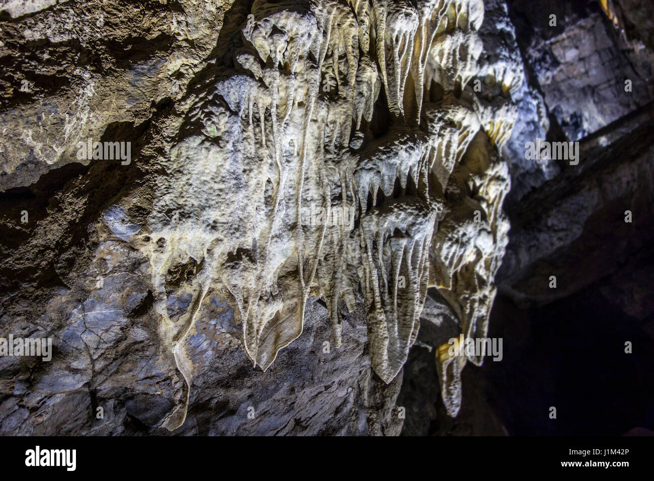 Flowstone / cave draperies, sheetlike deposits of calcite suspended from ceiling in the Caves of Han-sur-Lesse / Grottes de Han, Ardennes, Belgium Stock Photo