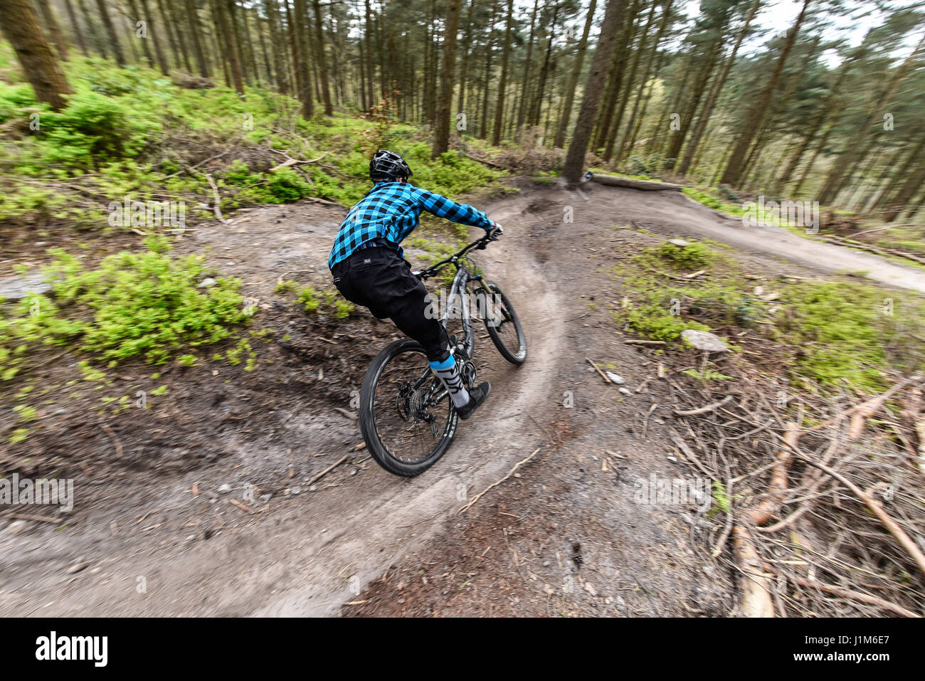 Mountain biking in Surrey hills - action shot Stock Photo