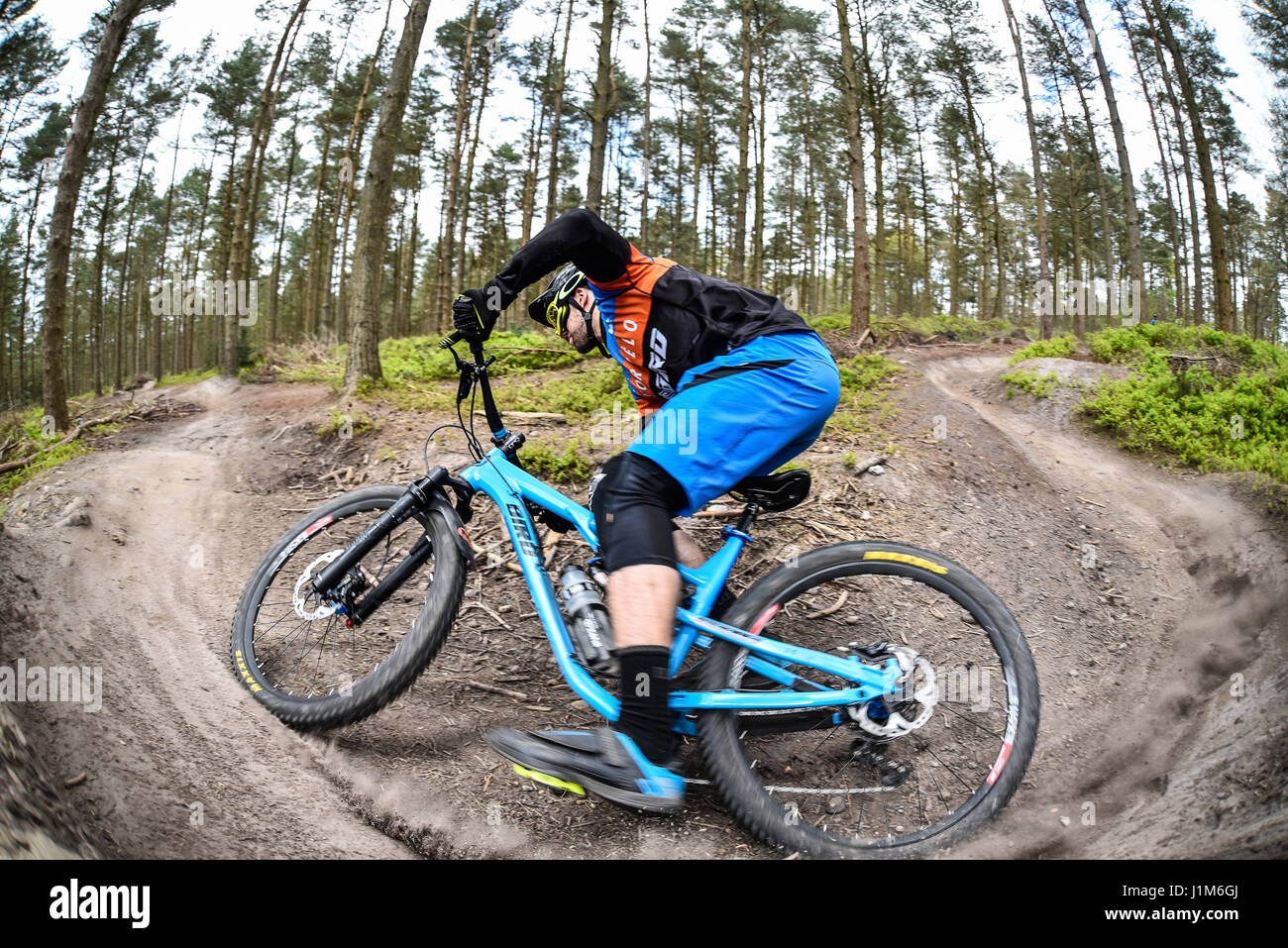 Mountain biking in Surrey hills - action shot Stock Photo